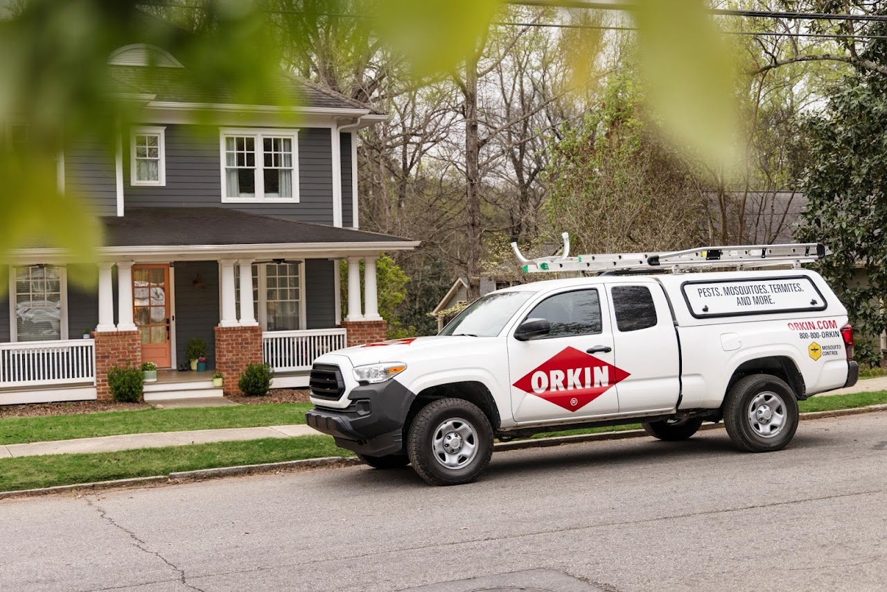 Orkin project